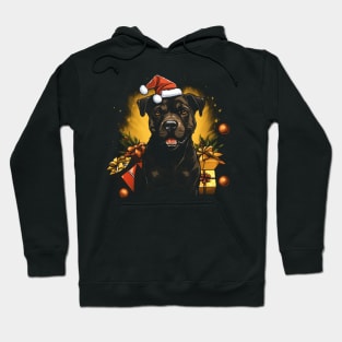 Christmas pitbull Hoodie